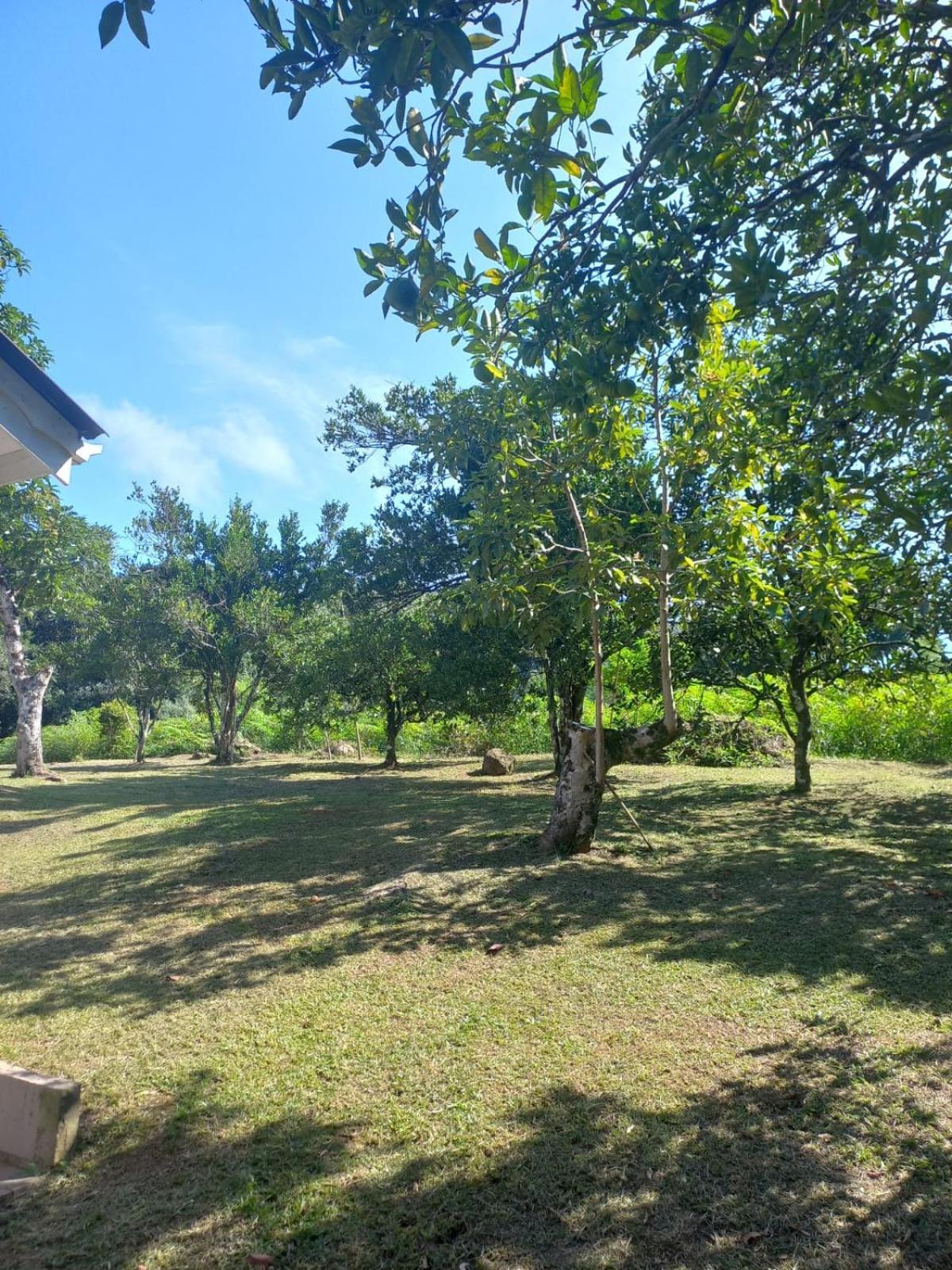 Casa Ampla E Aconchegante Em Gramado别墅 外观 照片